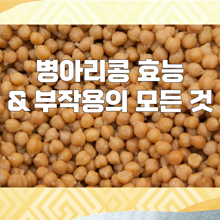 병아리콩 효능