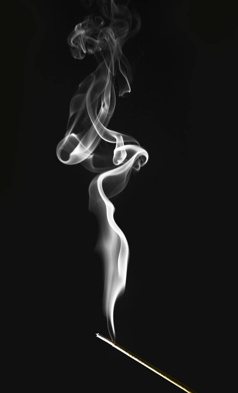 요가의 종류 – 내 몸과 마음에 맞는 요가 선택법