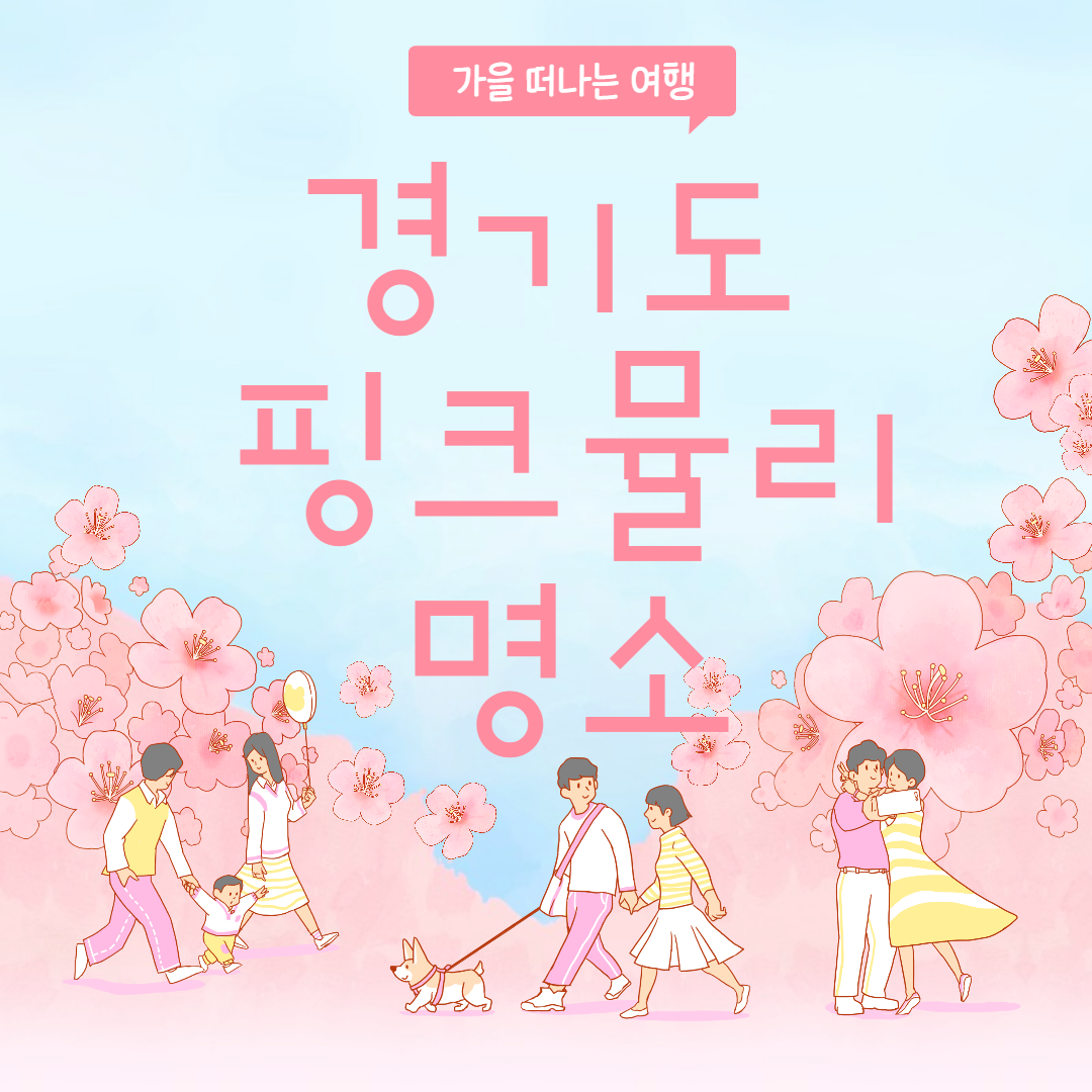 경기도 가을여행 핑크뮬리 명소추천