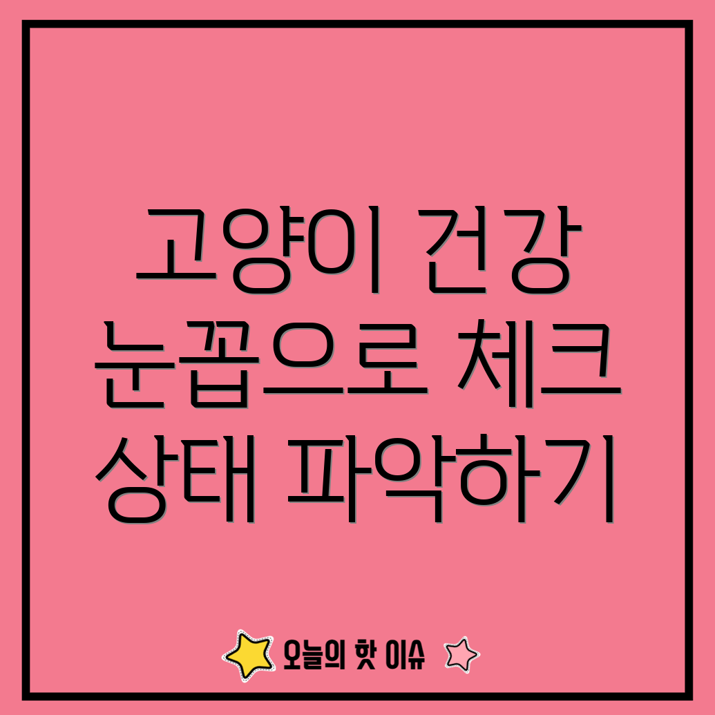 고양이 눈꼽