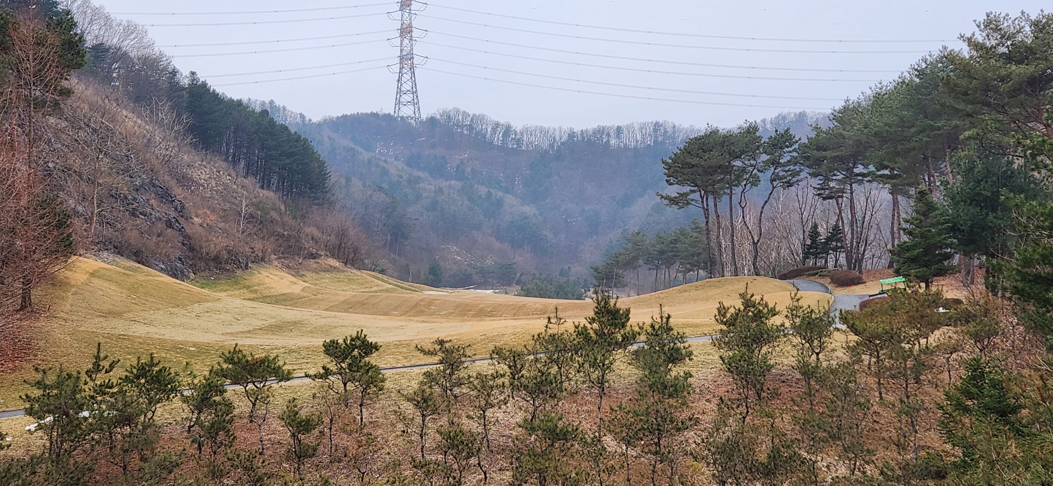 힐드로사이cc
