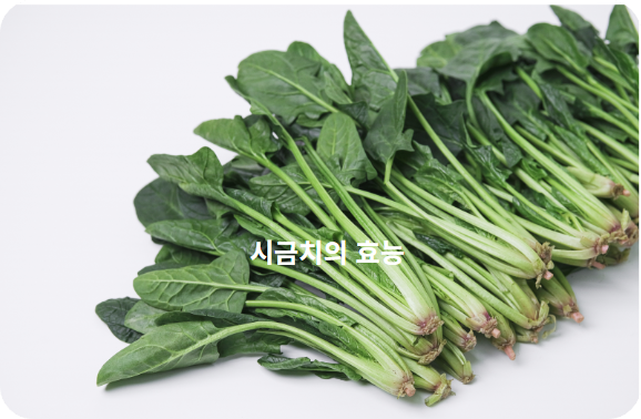 시금치의 효능