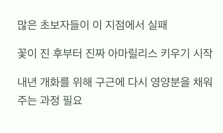 단점: 꽃이 지고 난 후&amp;#44; 진짜 게임의 시작