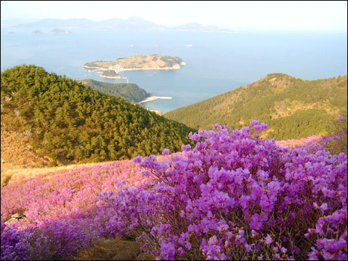 무학산 등산코스