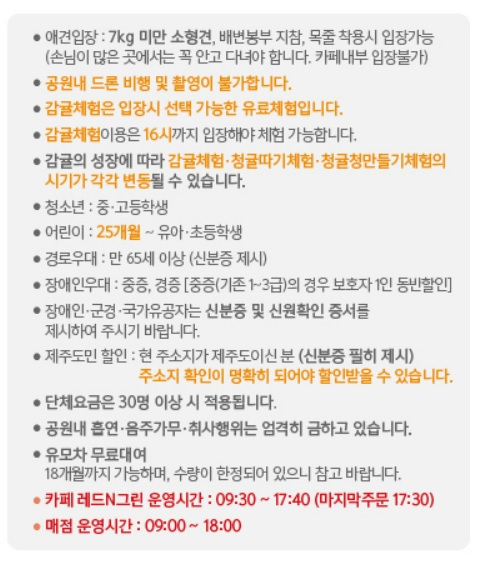 휴애리 유채꽃 축제