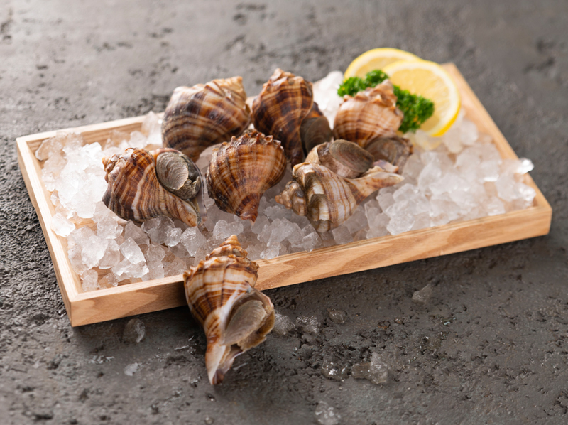 화성 피뿔고둥 양념코너 5호점, 궁평항 근처 회 맛집에서 만나는 제철 해산물