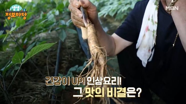 이맛에 살지 한방삼계탕, 인삼갈비탕, 인삼튀김, 인삼구이, 인삼 닭강정, 인삼탕수 금산 수삼센터 맛집 추천