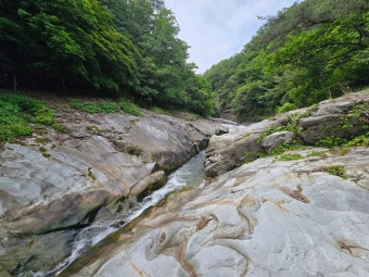 2025 여름휴가 계곡 추천 BEST 5 [+숨겨진 계속 명소]