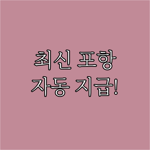 2025 최신 포항 장애수당 신청 없..