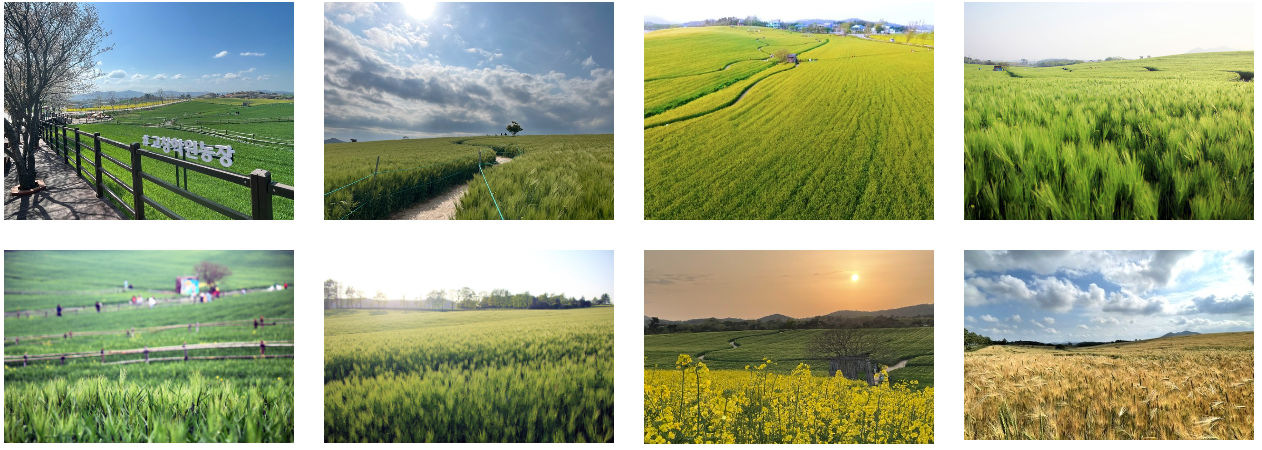 고창 학원농장 풍경