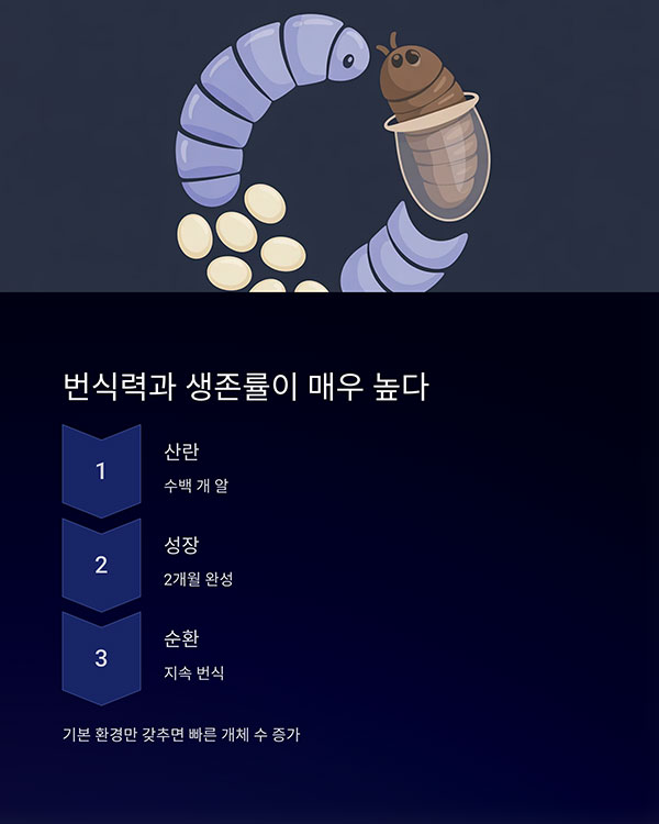 번식력과 생존률이 매우 높다