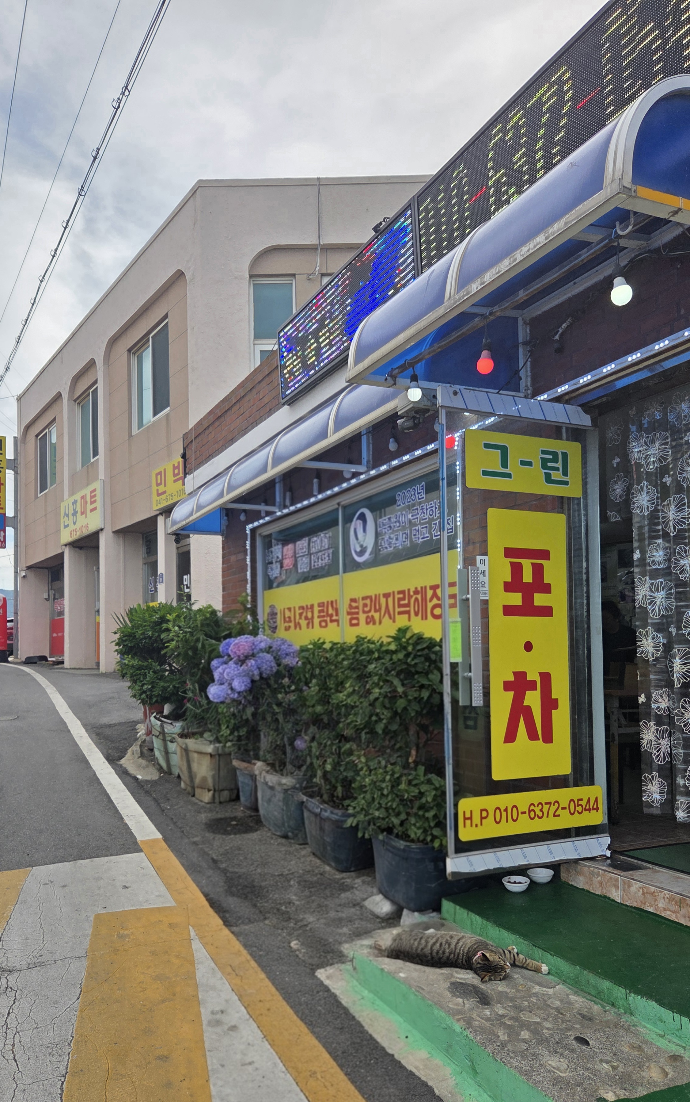 그린포장마차 외경