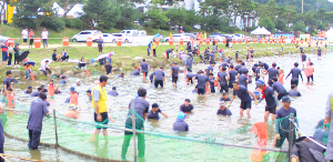 괴산고추축제