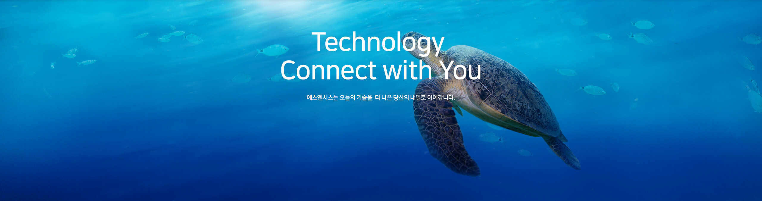 에스엔시스 공모주