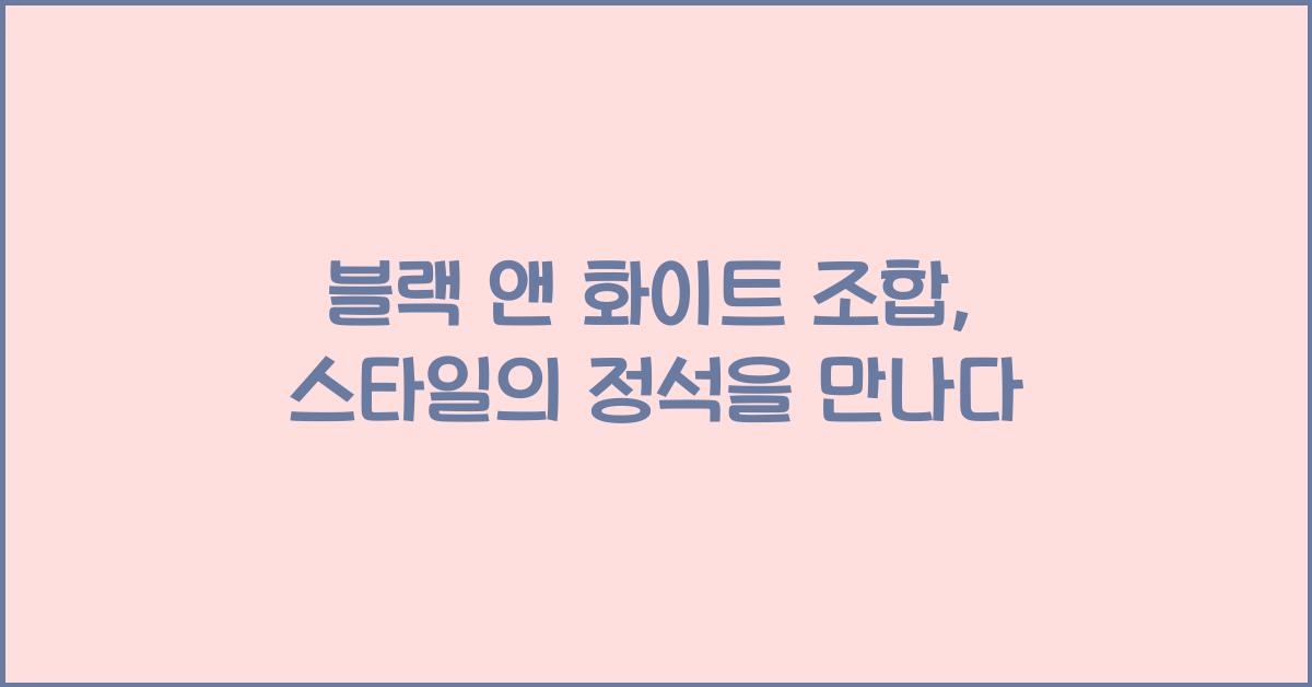 블랙 앤 화이트 조합