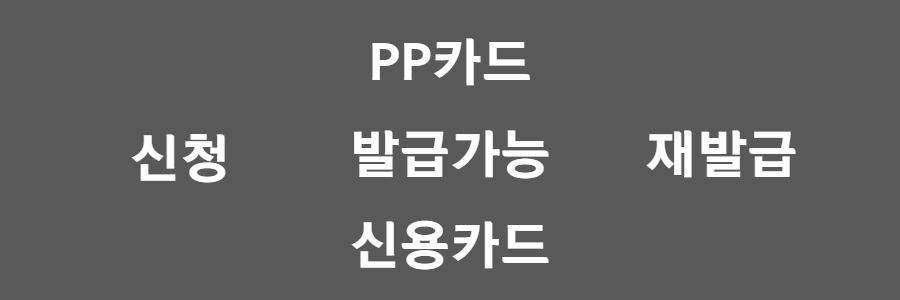 pp카드 발급가능 신용카드