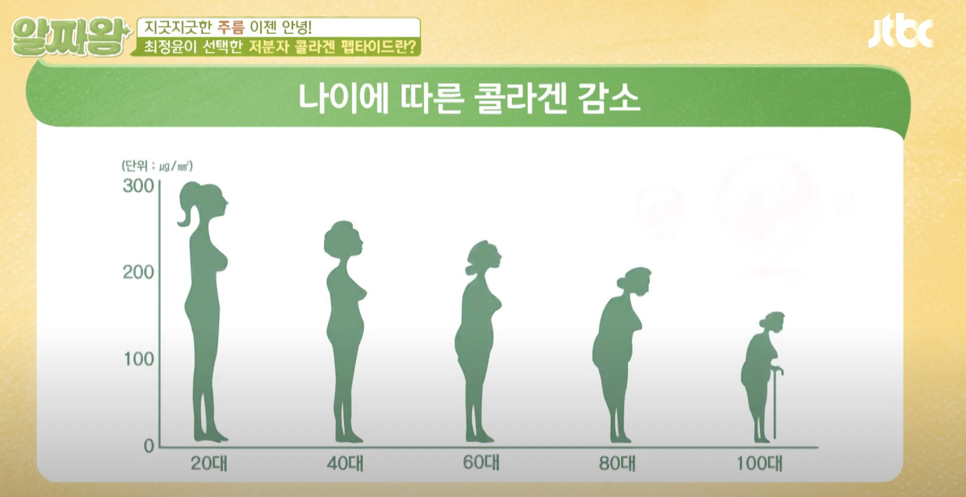 저분자 콜라겐 펩타이드 효능