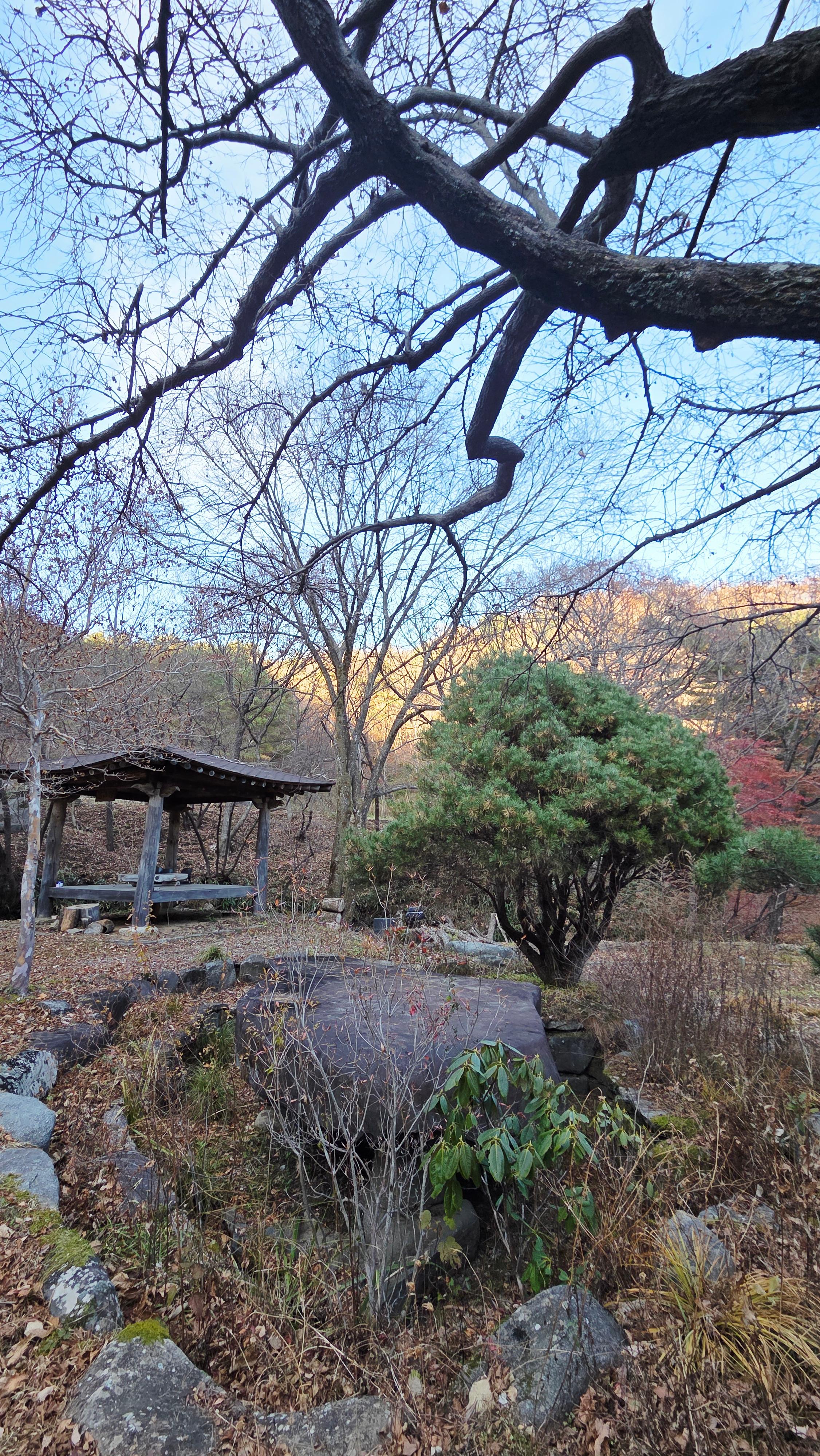 고운동천 뒷마다 풍경 4