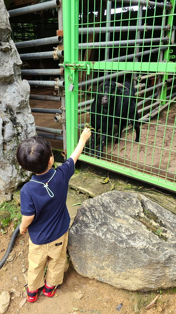 덕소자연사박물관-동물먹이주기체험