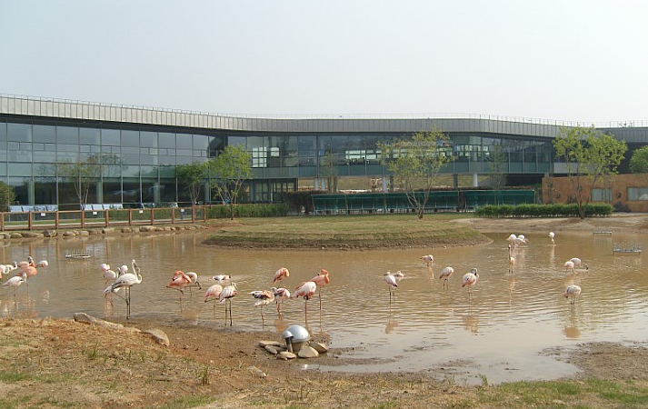 순천만