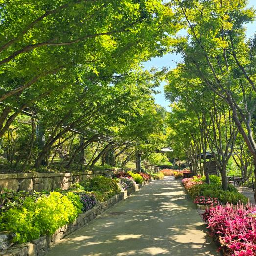 화담숲 입장료1