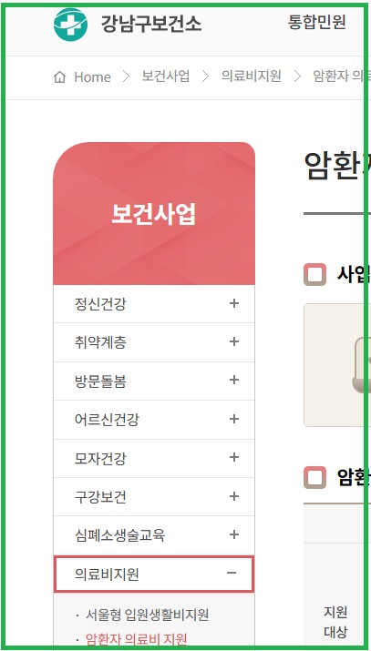 강남구보건소 의료비지원사업