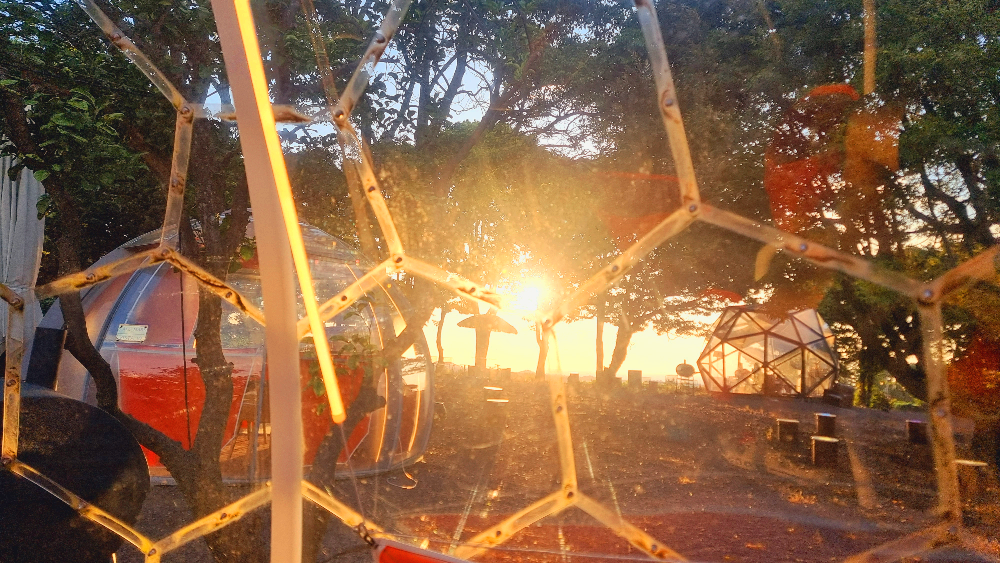 제주도 블로비 포레스트 블로비 돔 실내 풍경