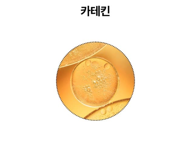 리벤지컷 성분