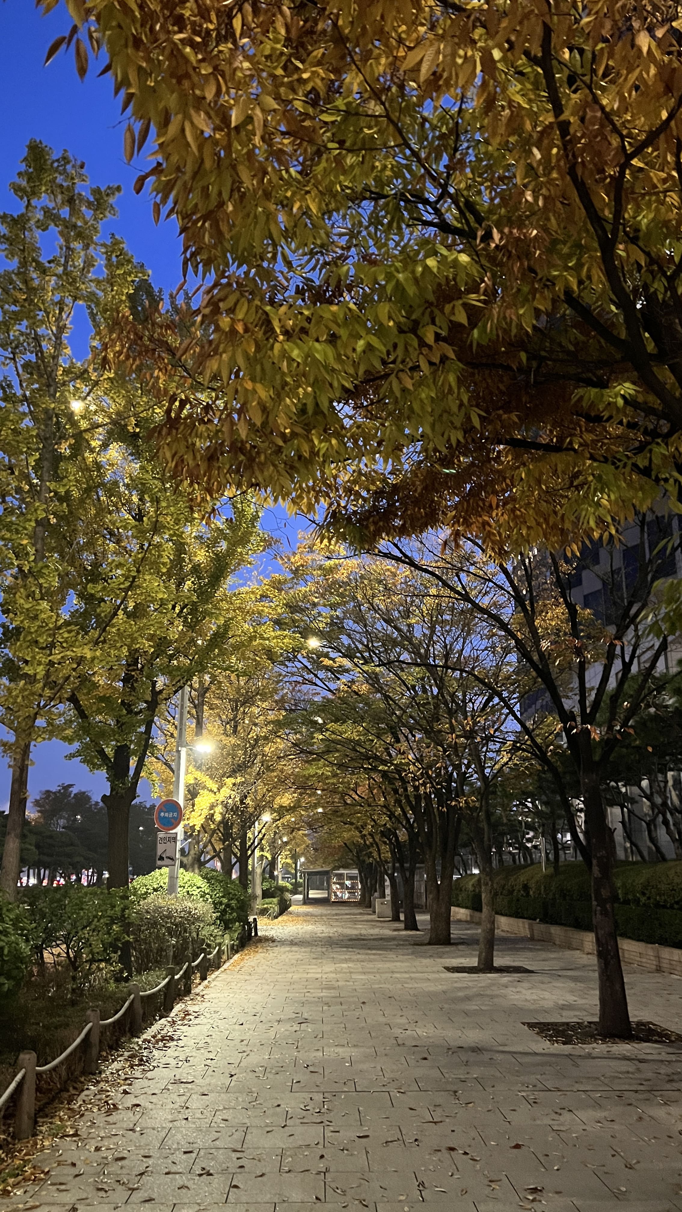 여의도 한강공원 