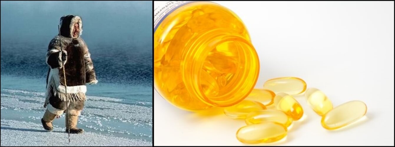 에스키모인과 오메가3