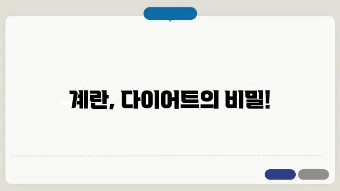 다이어트에 효과적인 계란 칼로리와 다양한 효능
