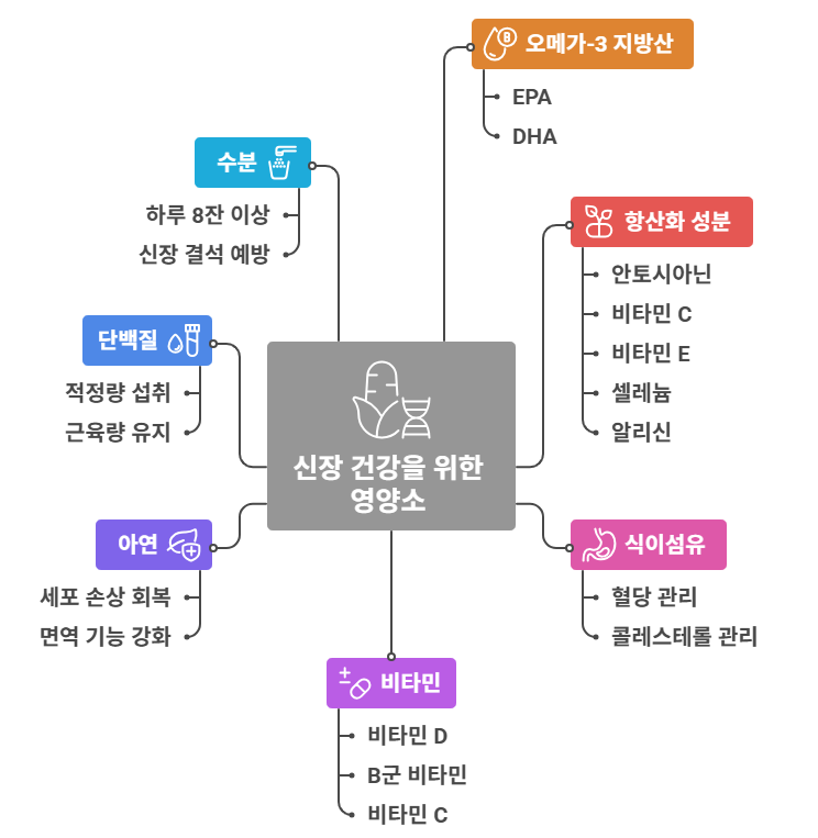 신장 건강을 위한 영양소와 역할