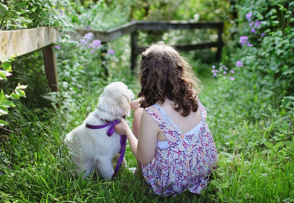띠별운세 11월 3일