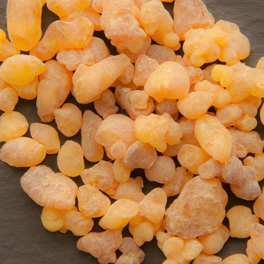 보스웰리아(Boswellia) 사진