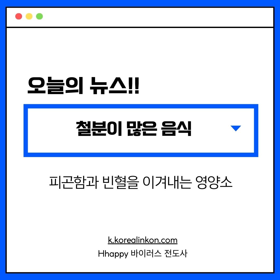 철분이 많은 음식 피곤함과 빈혈을 이겨내는 영양소