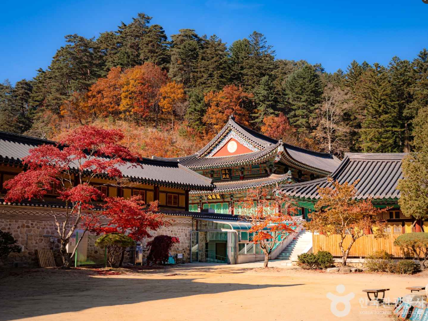 강원도 월정사