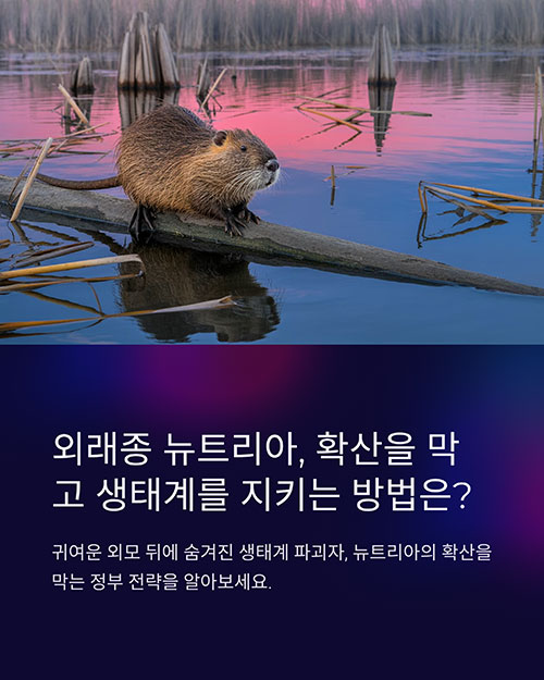 외래종 뉴트리아, 확산을 막고 생태계를 지키는 방법은?