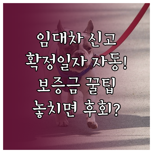 주택 임대차 계약 신고 확정일자 자동..