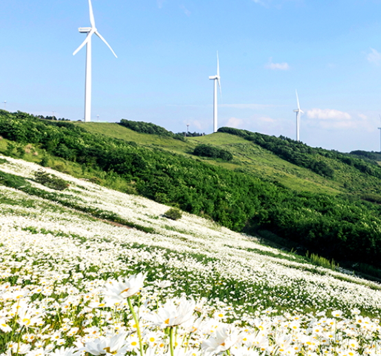 6월 여행하기 좋은 곳 9선 여름의 매력을 만끽하세요!