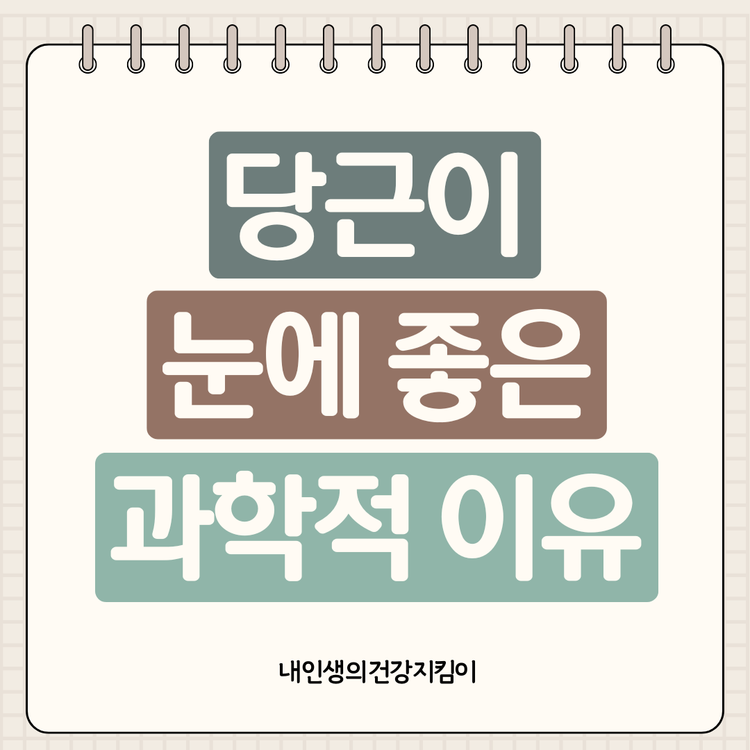 당근 눈 건강 효과 ❘ 베타카로틴이 시력을 지키는 과학적 원리