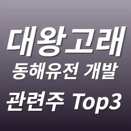 대왕고래 관련주 대장주