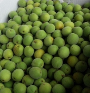 매실 효능과 부작용 고르는법 칼로리