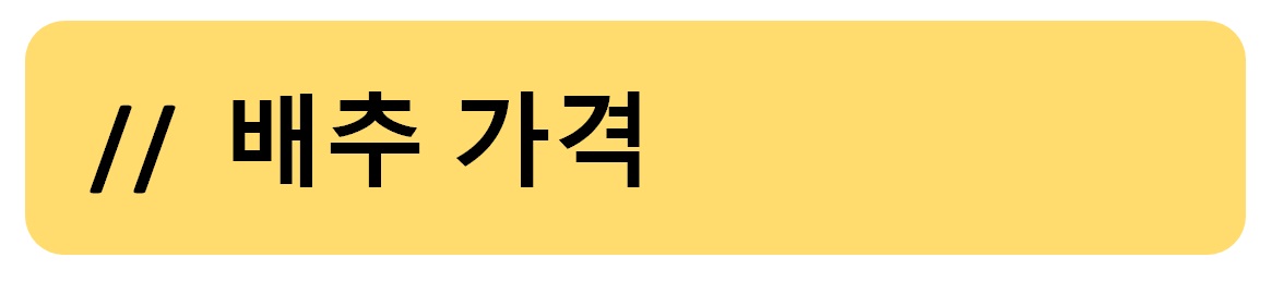 배추가격