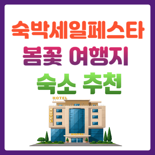숙박세일페스타