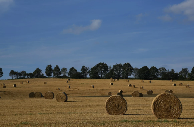 2025년 기본형 공익직불금 신청방법 신청기간