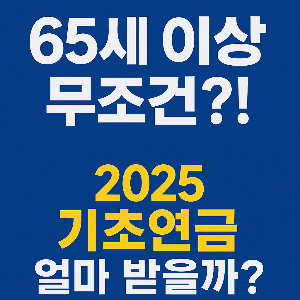 기초연금 모의계산기 바로가기