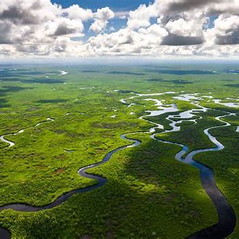 키웨스트(Key West)- 카리브해 낭만과 미국의 자유가 어우러진 매력적인 여행지