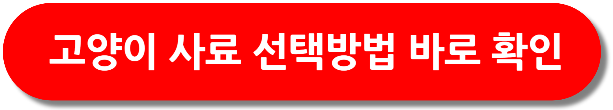 고양이-사료-선택방법