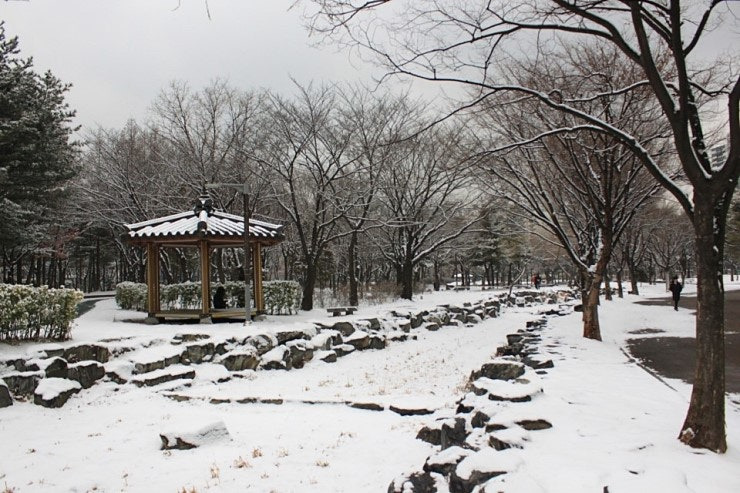 부천 반려견 겨울 나들이 명소, 강아지와 함께 걷기 좋은 산책 코스