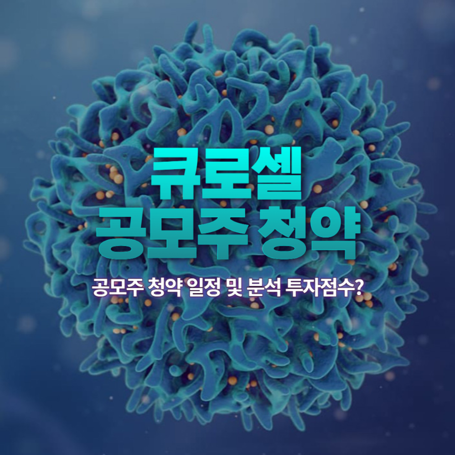 큐로셀 배너